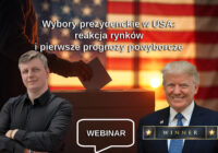 wybory, wybory i po wyborach (w USA)